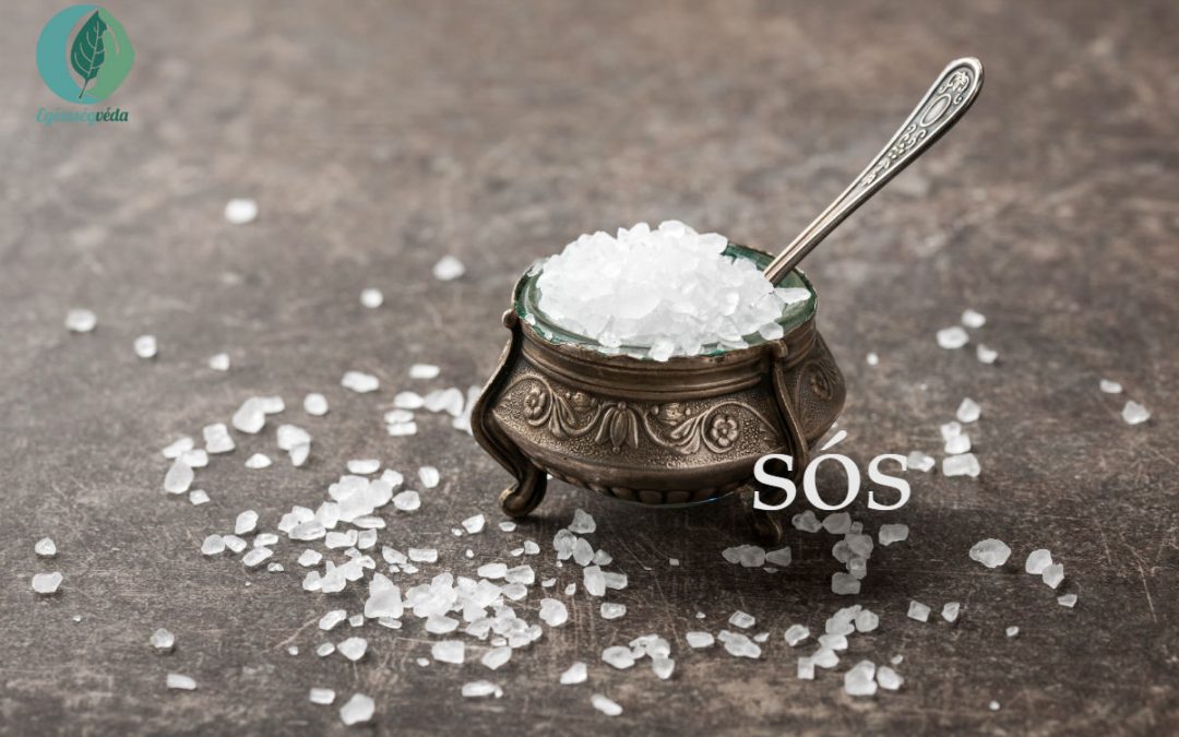 Ízek: a sós